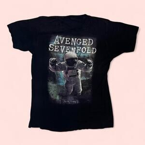 Avenged sevenfold the stage tour